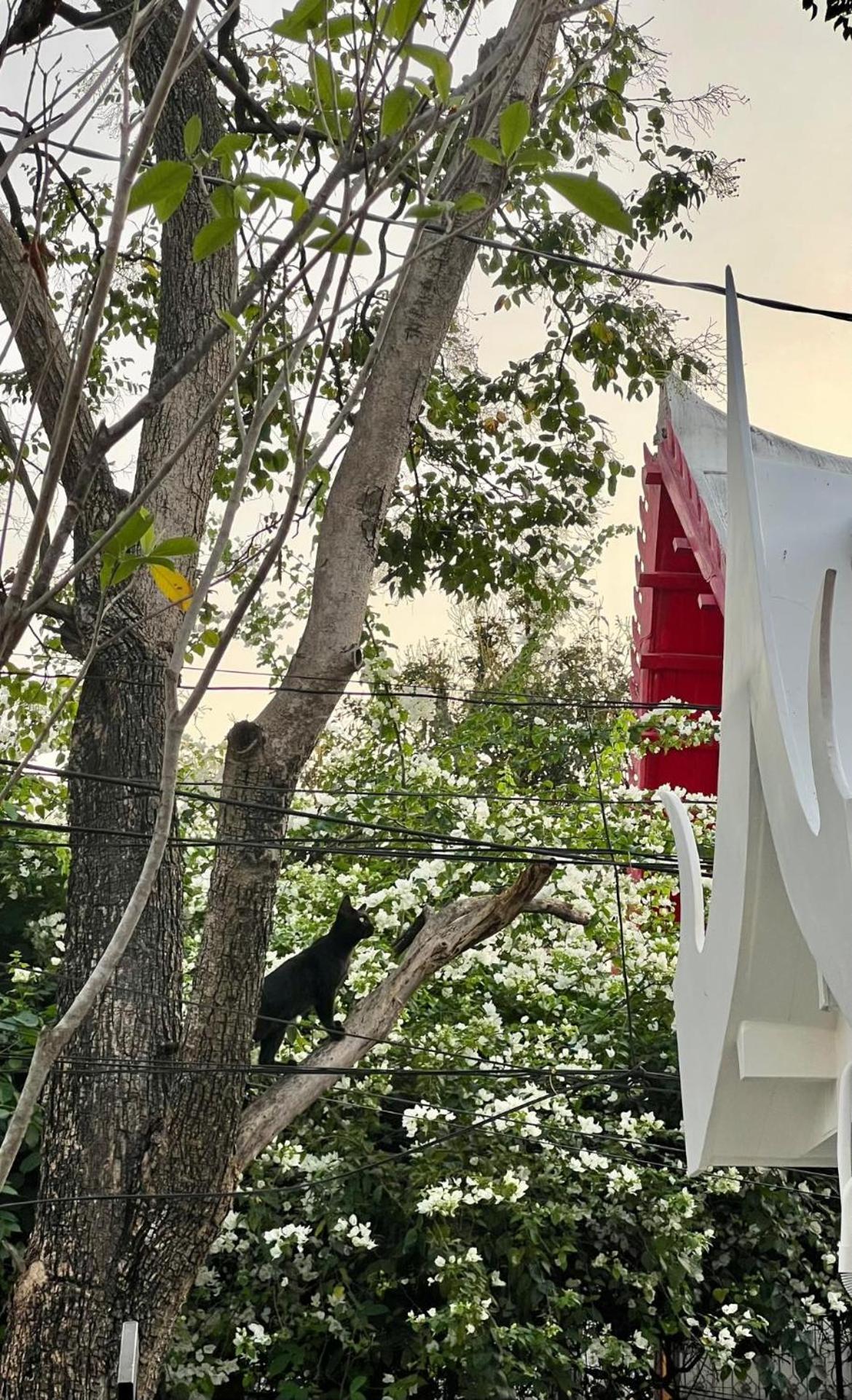 Baan Debtida Hotel Bangkok Kültér fotó