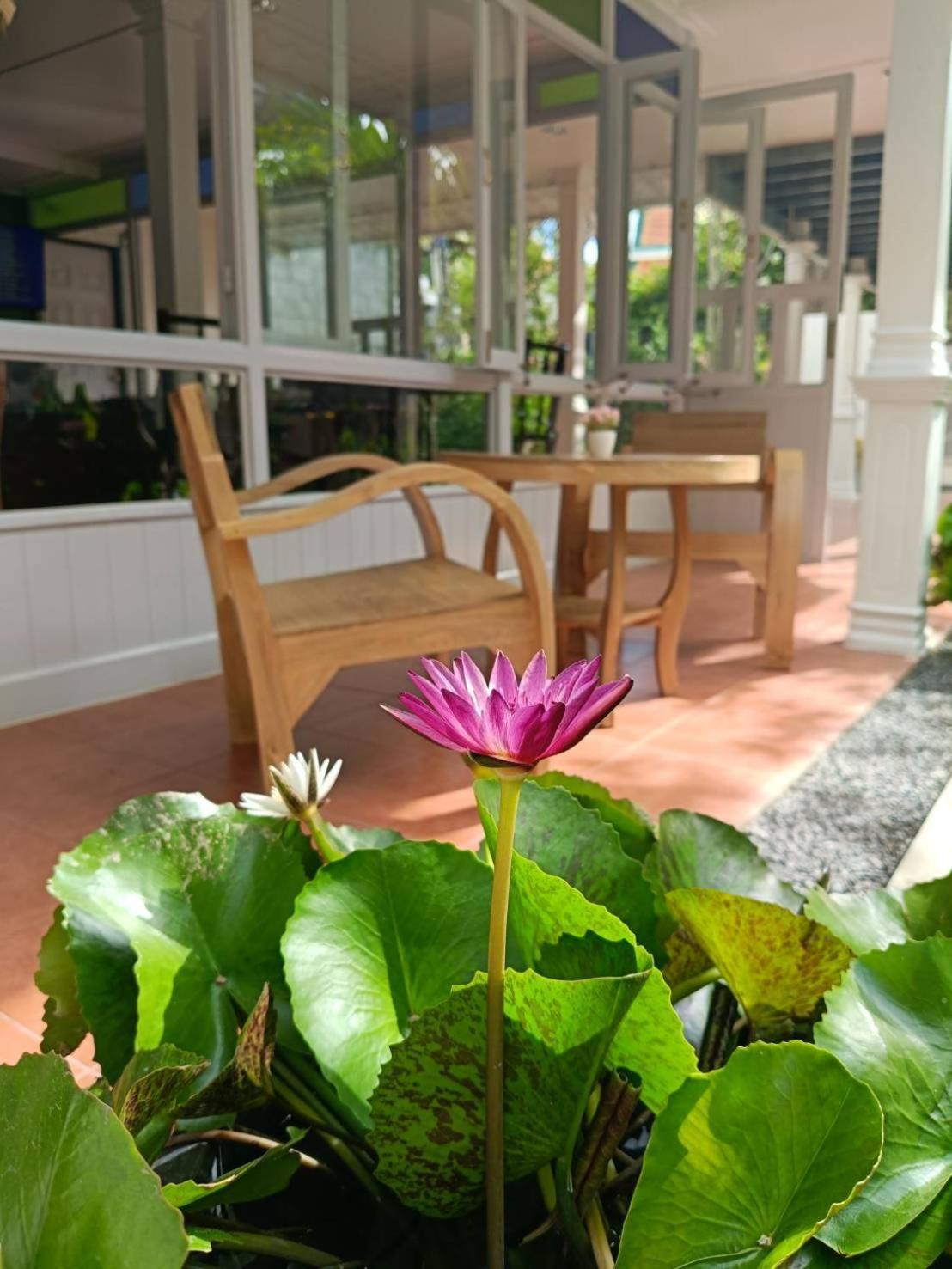 Baan Debtida Hotel Bangkok Kültér fotó