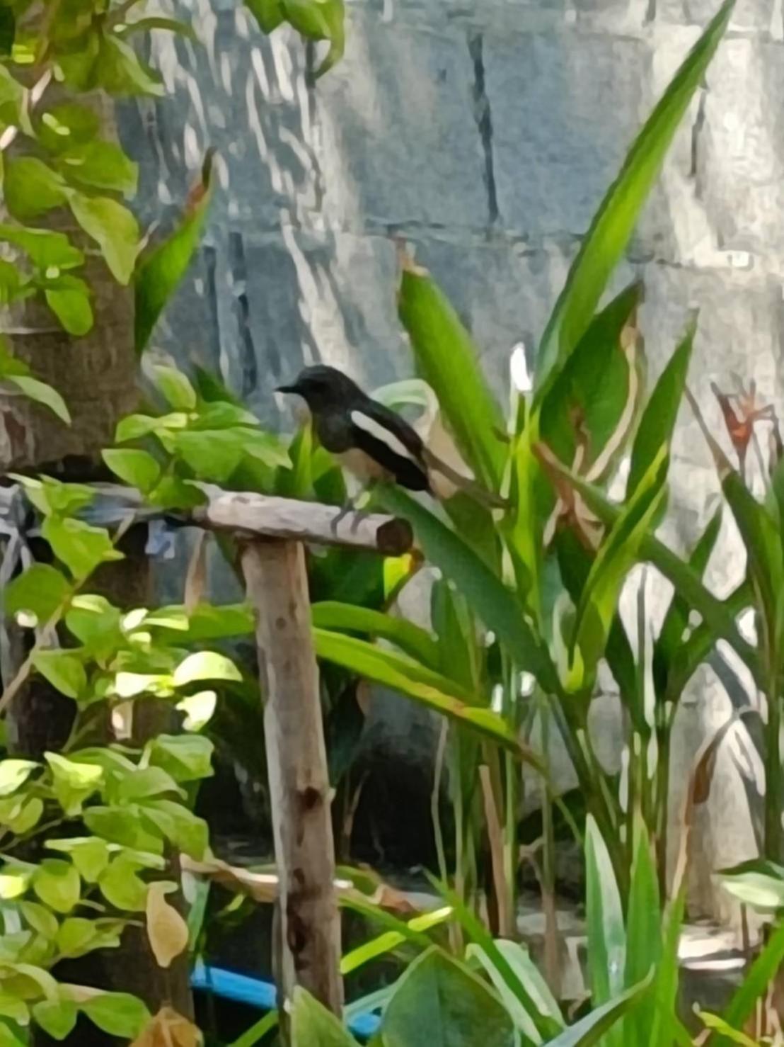 Baan Debtida Hotel Bangkok Kültér fotó