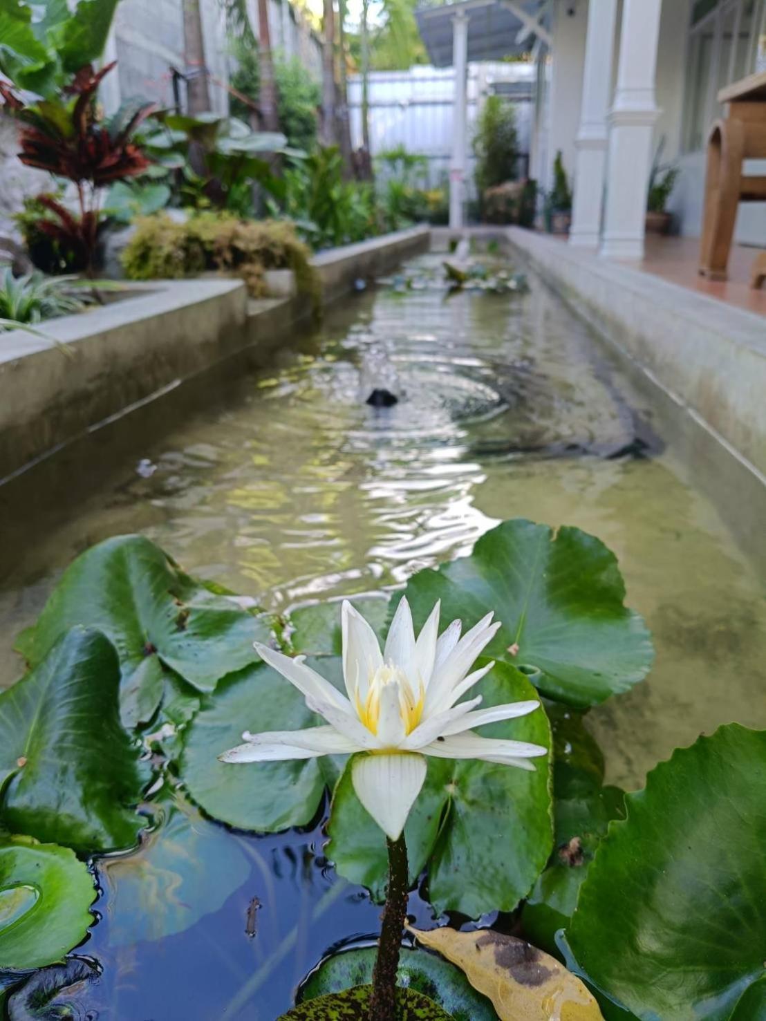 Baan Debtida Hotel Bangkok Kültér fotó