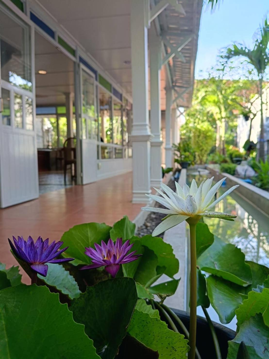 Baan Debtida Hotel Bangkok Kültér fotó