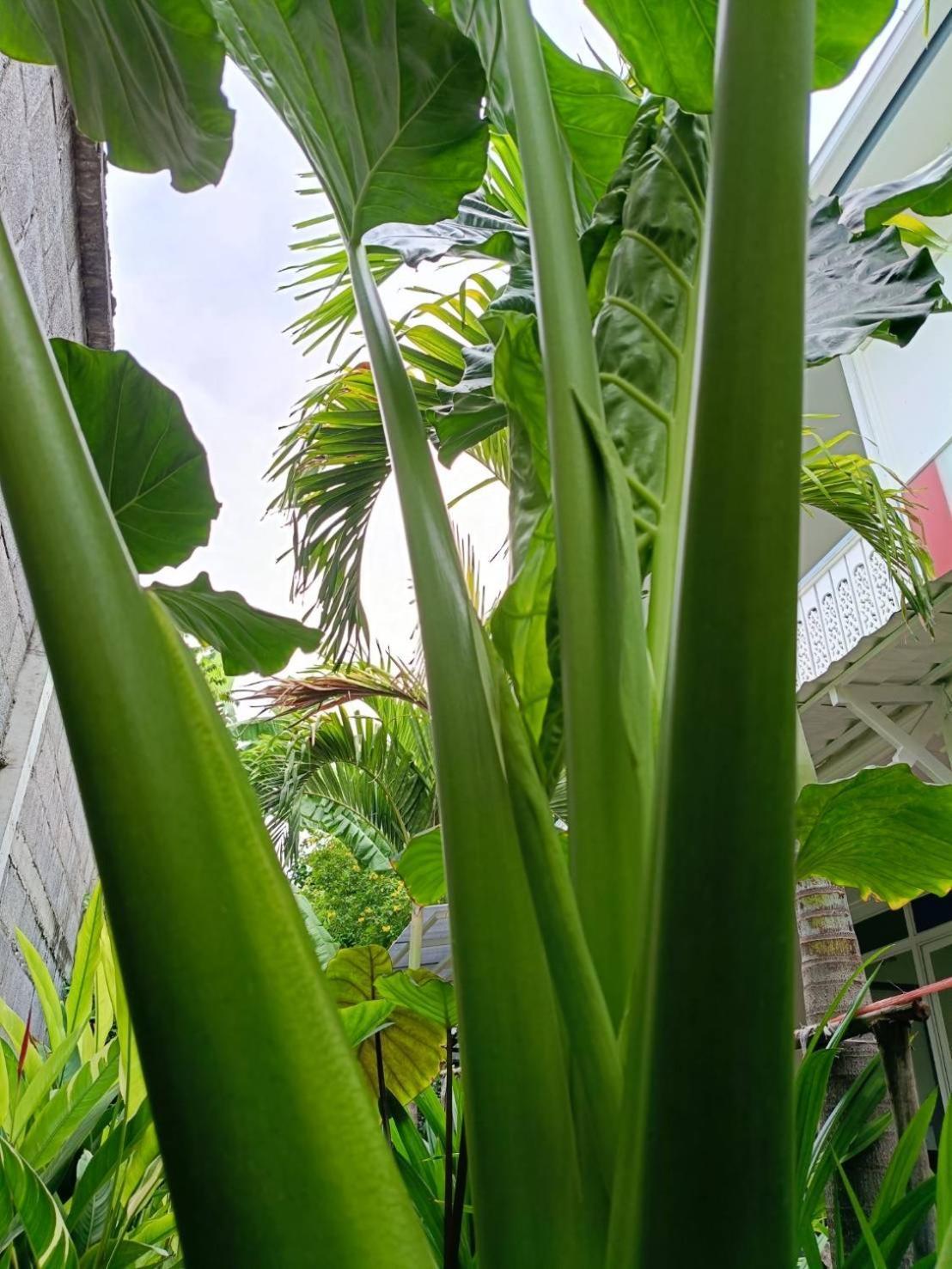 Baan Debtida Hotel Bangkok Kültér fotó