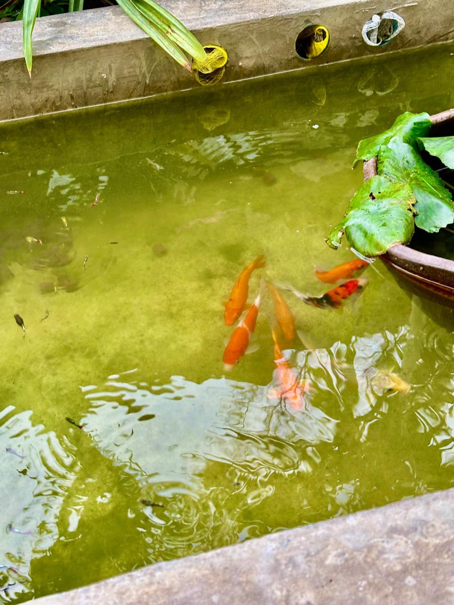 Baan Debtida Hotel Bangkok Kültér fotó